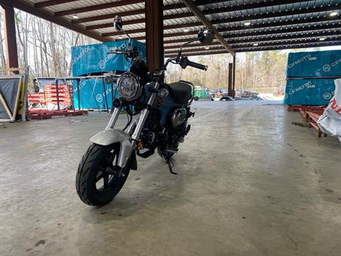 2025 Honda Dax 125 in stock at Statesboro Powersports in Statesboro, Georgia